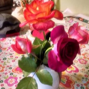 Meet your Posher, Cindy